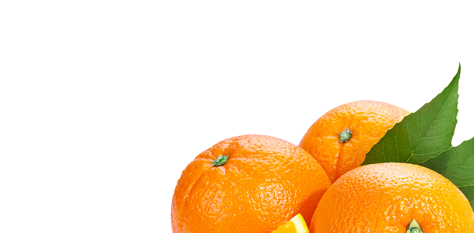Novedades-Ofertas 5 Novedades-Ofertas - mundonatural Laboratorio. Sitio OFICIAL