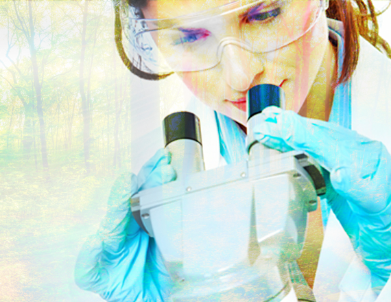 mundonatural 4 mundonatural - mundonatural Laboratorio. Sitio OFICIAL